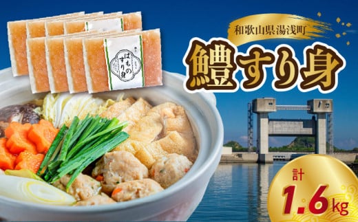 SD1004_鱧すり身 200g × 8個 高級魚 鱧 漁港直送 その日に加工 真空冷凍 鮮度 キープ すり身 鍋 ハンバーグ つみれ汁 高級料亭 気分 味わえる 自宅 簡単 出来立て さつま揚げ 冷凍 お取り寄せ 和歌山県 湯浅町 送料無料