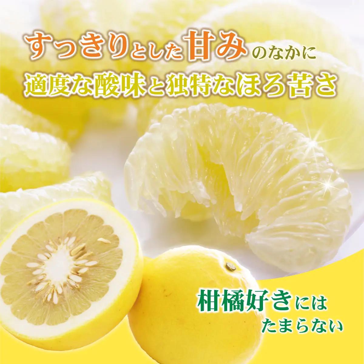 【先行予約】【訳あり】土佐文旦（ぶんたん）家庭用 約3kg（M〜5L） 高知県土佐市 【株式会社とさもん】 [BQAE043]
