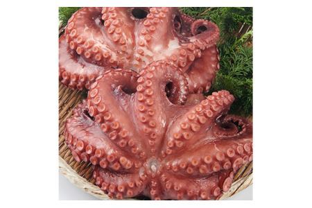 No.323 行列のできるたこ焼き屋が茹でる、こだわりの茹で蛸300g（CAS冷凍）