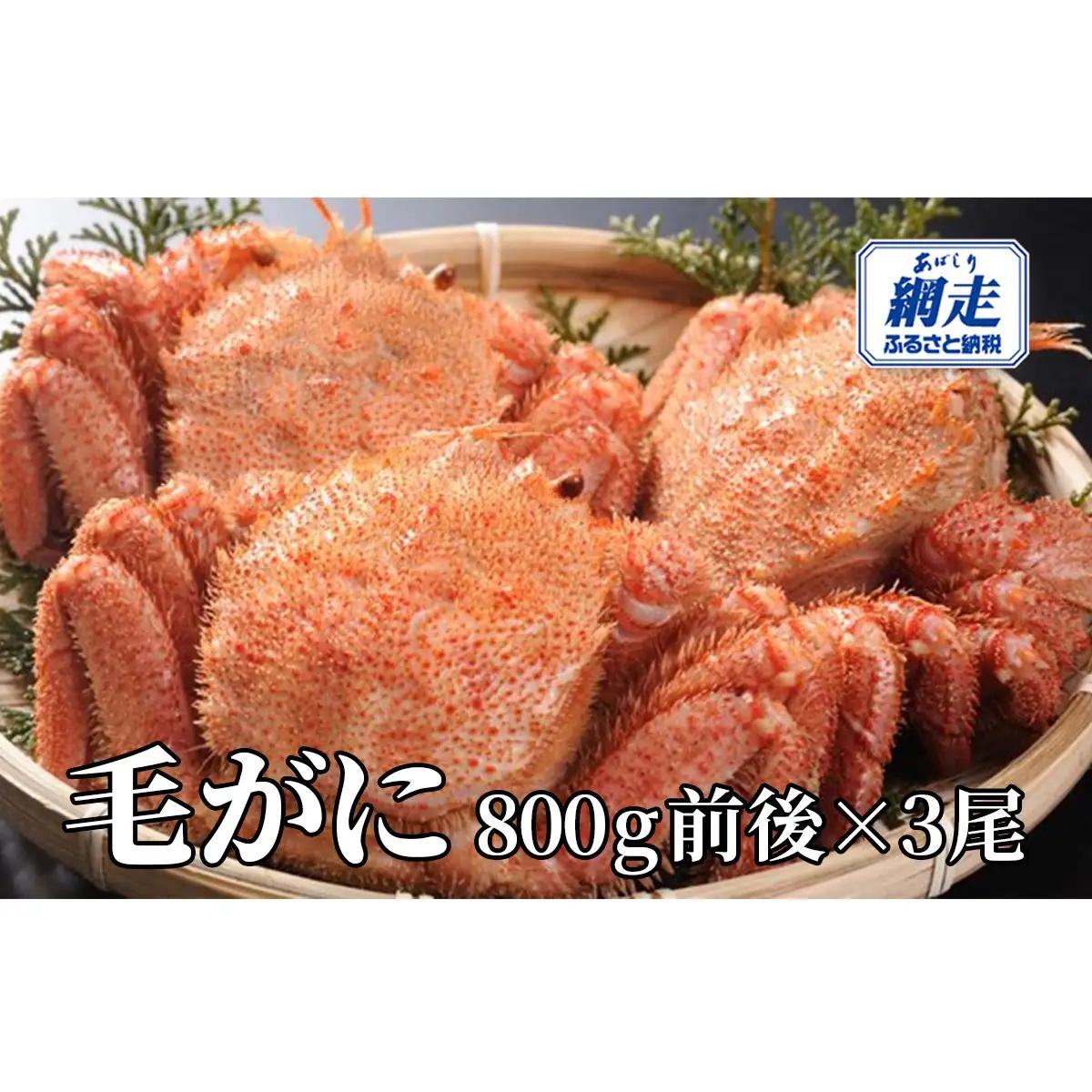 網走産 毛がに2.4kg前後（800g前後×3尾） ABW111