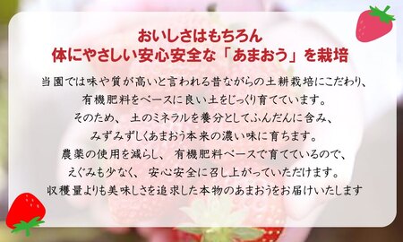 CZ-008_福岡県産ブランド【あまおう】冷凍いちご1.6kg