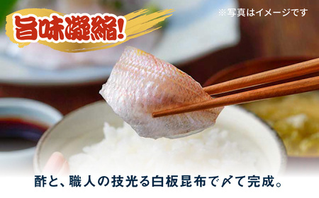 小鯛昆布〆　半樽　70g×2樽入り　昆布〆め 小鯛 鯛 タイ ささ漬け 笹漬け 特産品 マルカイ 福井県 小浜市 / 小浜海産物 【配送不可地域：離島】[BFAA097]