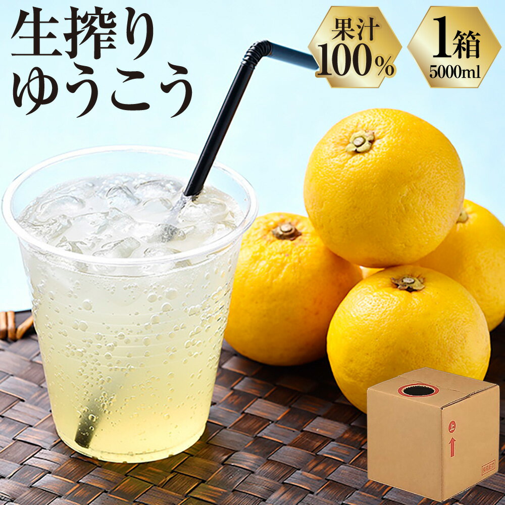 【ふるさと納税】生搾りゆうこう果汁 100% 5L 果汁 柑橘 フルーツ 果物 人気 ギフト プレゼント ジュース 調味料 ポン酢 ゆうこう 冷凍 国産 九州 長崎県 長崎市 送料無料