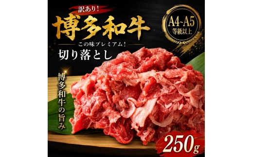 
                  訳あり！【A4～A5】この味プレミアム！博多和牛切り落とし 250g～1kg | 牛肉 ブランド牛 国産 和牛 切落とし 福岡 博多 すき焼き しゃぶしゃぶ 肉じゃが 炒め物 CP055
                