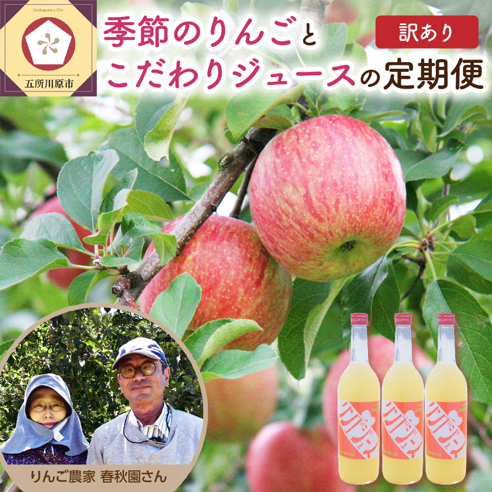 【 2025年 先行予約 9月発送開始】 訳あり りんご リンゴジュース 定期便 4回 セット 【 サンふじ 早生ふじ サンつがる 青森 林檎 リンゴ 送料無料 定期 フルーツ 】