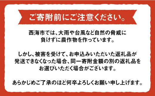 【びっくり大粒】北海道広尾町の昆布仕込み！さいかいらっきょ艶づけ（甘酢漬け）1.8kg（600g×3P）＜道の駅さいかい みかんドーム＞ [CAI020]