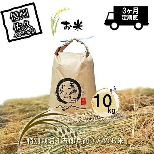 
            【令和7年産・白米10kg×定期便3ヶ月】特別栽培「五郎兵衛さんのお米」 ＜2025年10月初旬以降順次配送＞ 長野県 信州 先行予約 新米 こしひかり【五郎兵衛米 米 コメ 白米 精米 お米 こめ おこめ 備蓄品 仕送り おすそ分け 備蓄米 コシヒカリ こしひかり 長野県 佐久市 】
          