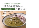 【ふるさと納税】山添村の“ほうれん草カレー”6食セット