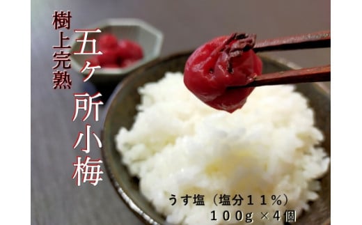 梅干し 手作り 計400g （100g×4個） 小分け うす塩 梅干 うめぼし うめ うめ干し 小梅 梅 ume 無添加 樹上 完熟 とろける 塩分 11% しそ ごはんのお供 ご飯 ごはん お米 米 ※ 茶漬け お茶漬け しょっぱい すっぱい 小梅 国産 ないぜしぜん村 五ヶ所 伊勢志摩 三重県 南伊勢町 6000円 6千円 10000円以下 1万円以下