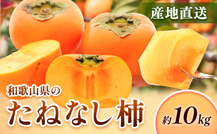 ＜10月より発送＞たねなし柿 約10kg 刀根早生 平核無柿 ひらたねなしかき 池田鹿蔵農園《10月上旬-12月上旬頃出荷》 和歌山県 日高町 柿 カキ かき たねなし ジューシー フルーツ 種無柿 