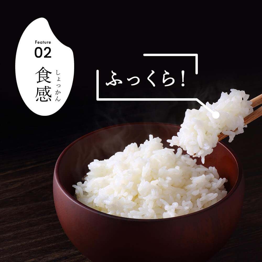 【3か月定期便】R7年産 新潟県産 コシヒカリ 5kg （無洗米）新米 お米 白米 コシヒカリ こしひかり おすすめ 人気 こめ コメ 新潟 見附 見附市 7年 2025年産 ふるさと納税 諸長