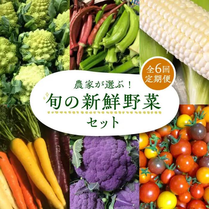【全6回定期便】農家が選ぶ！ 旬の新鮮野菜セット[VBE009]産直 野菜 やさい 詰め合わせ