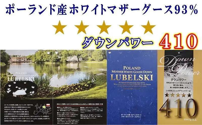 【羽毛布団】掛け布団 シングル ポーランド産マザーグース93％ ダウンパワー410【BE005】