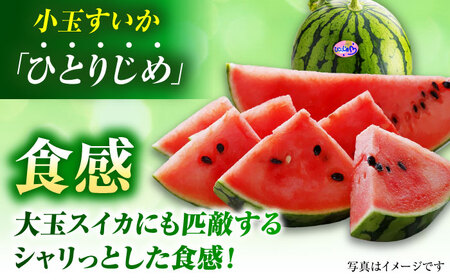 【先行予約】【数量限定】小玉すいか 1玉入（約3kg） 　【一般社団法人クラッシーノこうし】[AYAB023]