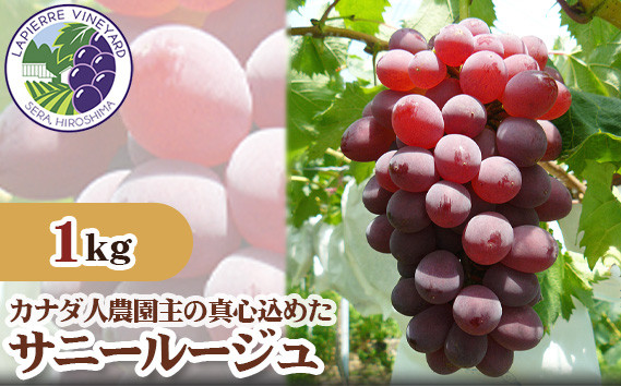 
No.231 【カナダ人農園主の真心を込めた】サニールージュ約1kg ／ 葡萄 ぶどう 果物 広島県
