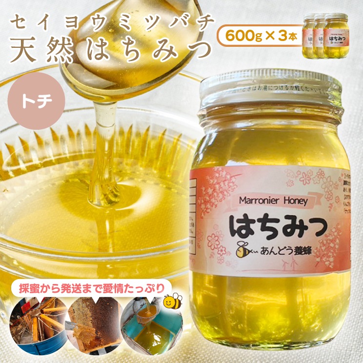 天然はちみつ トチ 600g×3本 蜂蜜 ハチミツ ハチ蜜 鳥取県産◇日本全国配送可能 お申し込みから14日以内に発送｜鳥取県北栄町の返礼品｜ ふるさと納税ナビ