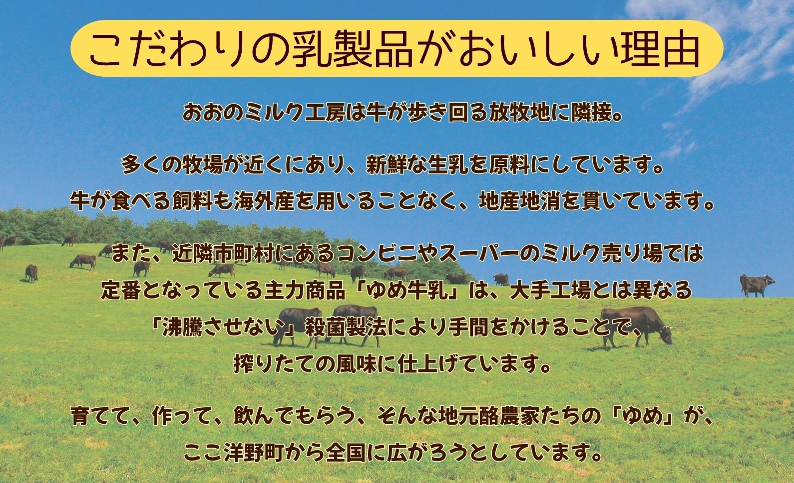 濃厚なのに後味すっきり！「のむヨーグルト」