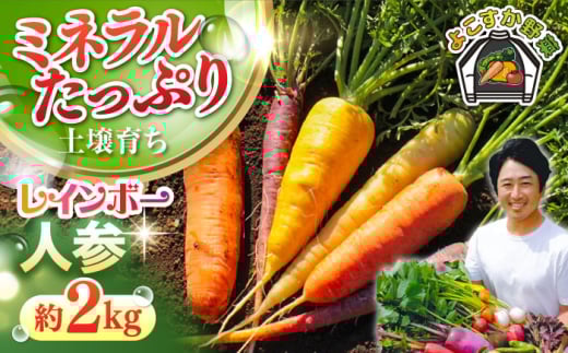 【先行予約】【数量限定】レインボー　人参セット　約2kg（10月〜6月） 野菜  やさい 【鈴也ファーム】 [AKCE014]