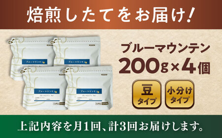 【全3回定期便】ブルーマウンテンNo.1　コーヒー豆　200g×4個 (豆)  / コーヒー  ドリップ  豆 / 瀬戸市 / Ｃｏｆｆｅｅ　ＳＡＫＵＲＡ[BBAB083]