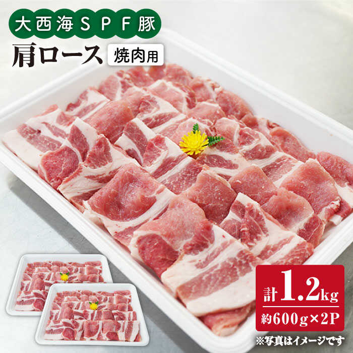 【ふるさと納税】【訳あり】【今夜は焼肉パーティ♪】大西海SPF豚 肩ロース（焼肉用）計1.2kg（600g×2パック）＜大西海ファーム＞ [CEK035]