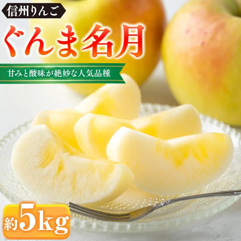 前島農家 ぐんま名月約5kg（12個～18個） | りんご フルーツ 旬 りんご