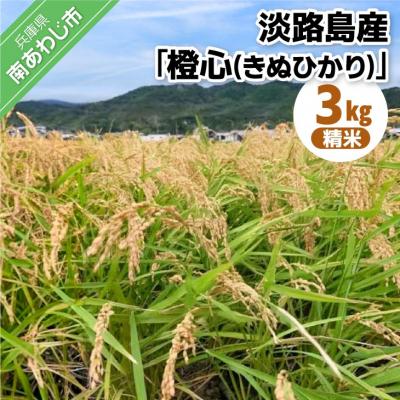 ふるさと納税 南あわじ市 淡路島産「橙心(きぬひかり)」精米3kg