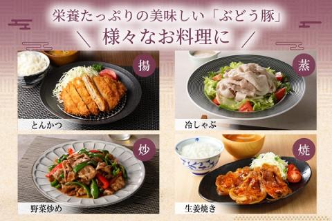 国産 豚肉 ブランド 豚 綾ぶどう豚 お楽しみ セット 食べつくし 詰め合わせ バラエティー ロース とんかつ 肩ロース バラ 焼肉 もも スライス 小間切れ 日時 指定 可能（22-34）