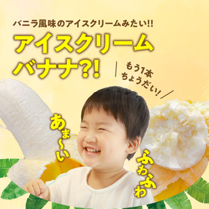 ■ 栽培期間中 農薬 ・ 除草剤 ・ 化学肥料不使用 ！ バニラ風味 の 甘い 島バナナ 1.5kg 【2025年6月～2025年11月下旬お届け】 W043-006u バナナ フルーツ 果物 島限定