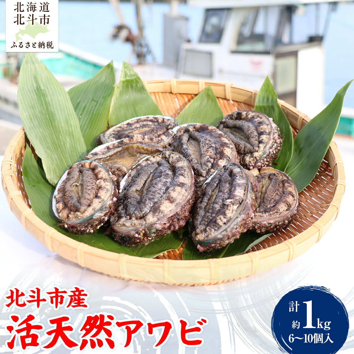 【ふるさと納税】北斗市産 活天然アワビ 6～10個入 【 ふるさと納税 人気 おすすめ ランキング あわび アワビ 鮑 天然あわび 天然アワビ 天然鮑 天然 活天然 北斗市産 海鮮 新鮮 津軽海峡 北海道 北斗市 送料無料 】 HOKAJ002