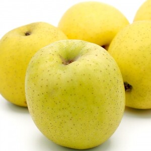 王林　訳あり約10kg【2026年1月下旬】たちねぷたりんご青森県五所川原市