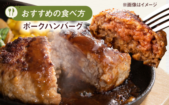 一貴山豚 ミンチ 計1kg(250g×4p) 糸島市 / いきさん牧場 豚肉 [AGB053] 豚肉 豚 ブランド豚 一貴山豚 ポーク ミンチ ひき肉 挽き肉 肉 250g