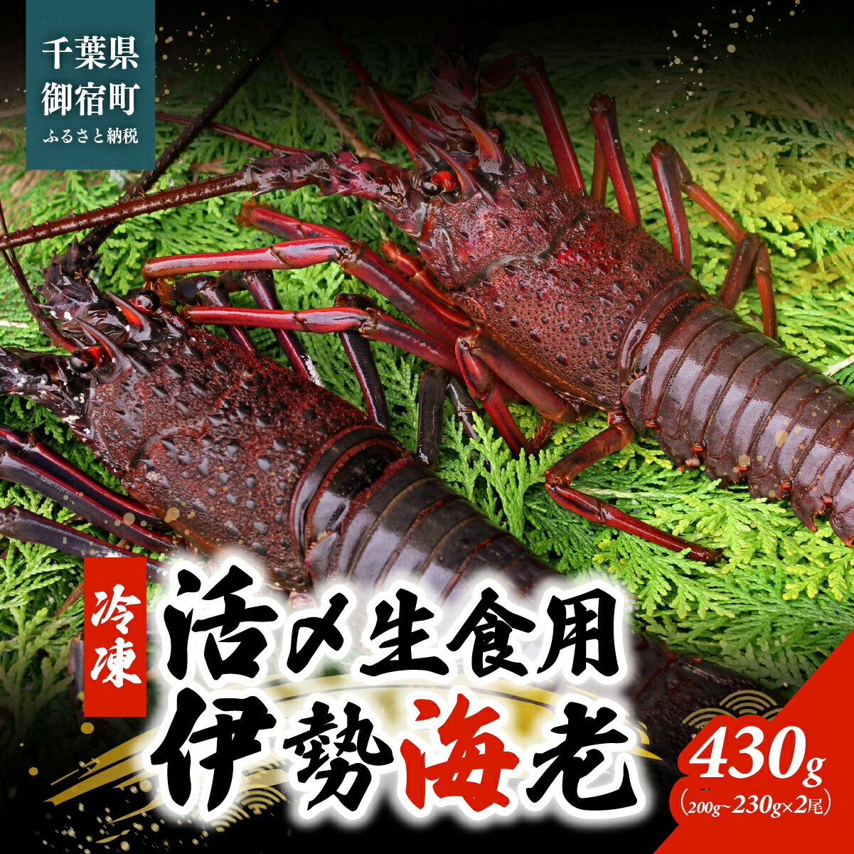 【ふるさと納税】活〆生食用伊勢海老（冷凍）『選べる容量』430g（200～230g×2尾）～2200g（250～300g×8尾）