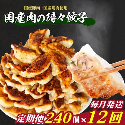 ふるさと納税 下関市 訳あり 国産肉の得々餃子 12回 毎月 定期便 240個 冷凍 小分け たれ付き IB030