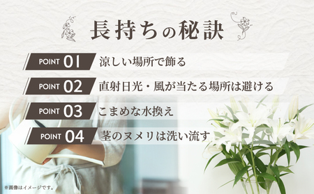 【2週間以内発送】≪期間限定≫LA ユリ(混合) 約15本 生花 切花 百合 国産_T045-0081
