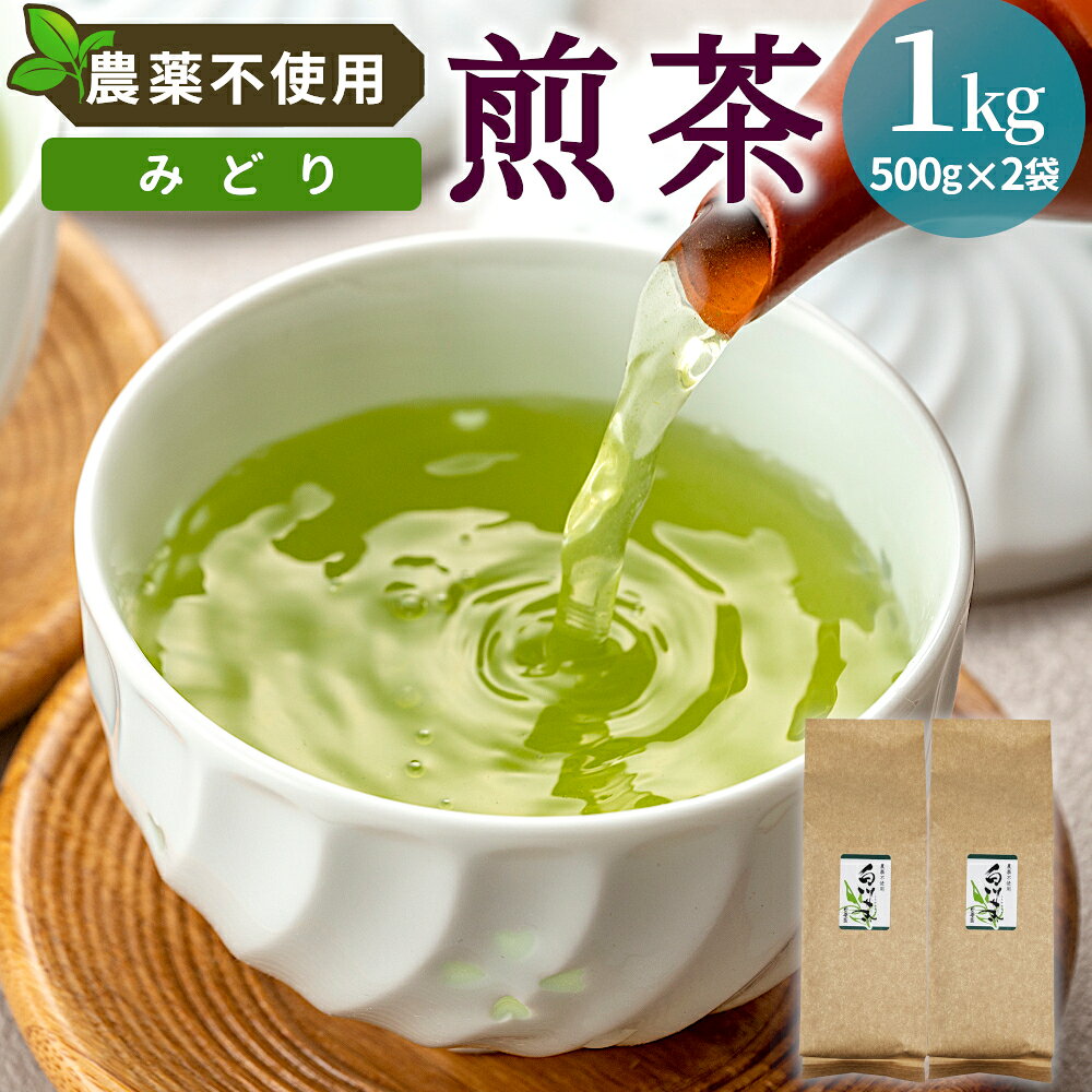 【ふるさと納税】農薬不使用！煎茶 みどり 1kg 常磐園 白川茶 美濃白川茶 日本茶 緑茶 煎茶 茶葉 お茶 一番茶 春摘み リーフ 国産 大容量 岐阜県 東白川村 進物用 家庭用
