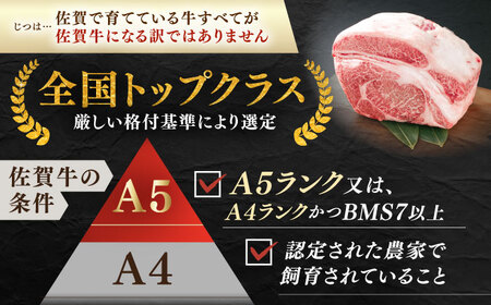 佐賀牛 ウデ焼肉用 約400g 【JAさが 杵島支所】[HAM096]