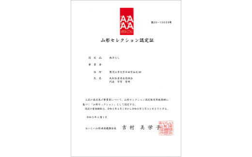 【先行予約（2026年度発送）】糖度14度以上 洋梨 「山形セレクション ラ・フランス」5kg  なし ナシ 梨 デザート フルーツ 果物 くだもの 果実 食品 山形県 FSY-1913