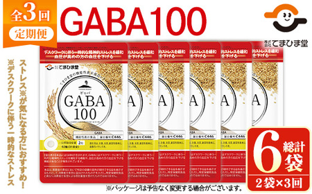No.1286-A ＜定期便・全3回(隔月)＞GABA100(1袋 62粒入・2袋×3回 計6袋) 鹿児島 日置市 健康食品 機能性表示食品 サプリ 栄養バランス 食生活 安心安全 デスクワーク ストレス緩和 高血圧 定期便 頒布会【てまひま堂】