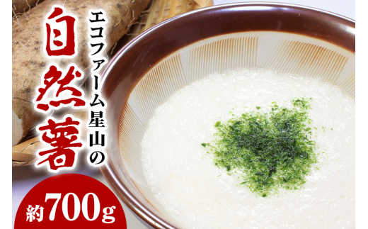 エコファーム星山の自然薯　700ｇ