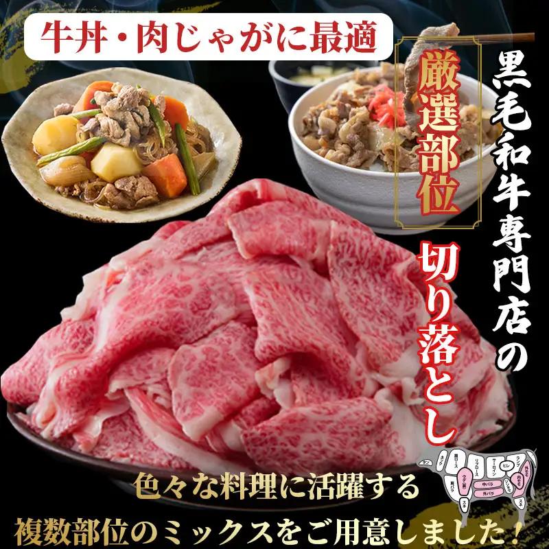 佐賀産和牛　切り落とし　600g さが サガ ギフト 老舗 牛肉 使い勝手抜群 煮込み 炒め物 カレー 重宝：B160-052
