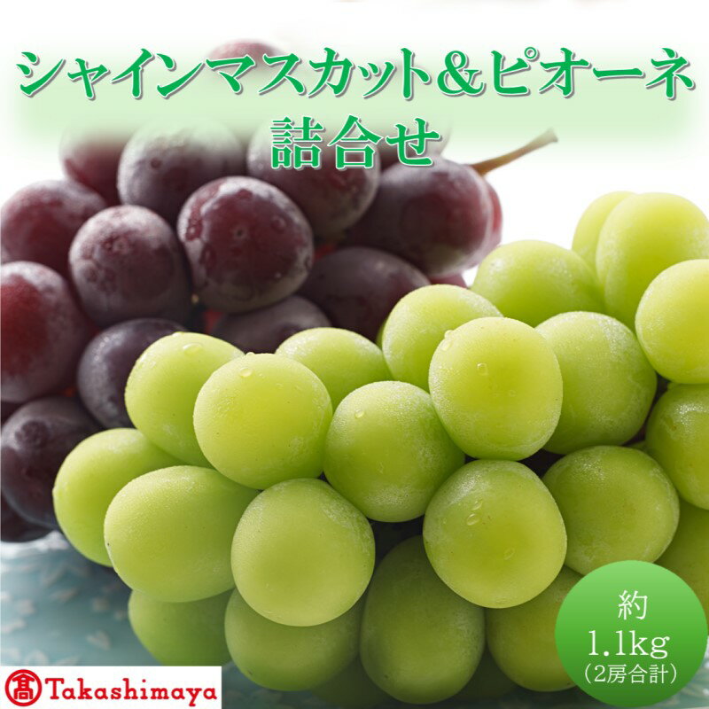 【ふるさと納税】【高島屋選定品】シャインマスカット＆ピオーネ詰合せ 約1.1kg（2房合計） 岡山県高梁市産 個装箱入り 葡萄 ブドウ 贈り物　お届け：2026年8月20日～2026年9月30日