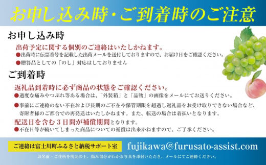 【2025年発送分 先行予約】土屋さんのシャインマスカット(1.7～2.0kg 3房) シャイン マスカット 大粒 富士川町産 産地直送 フルーツ 果物 くだもの ブドウ ぶどう 葡萄 やまなし 山梨 先行受付 令和7年