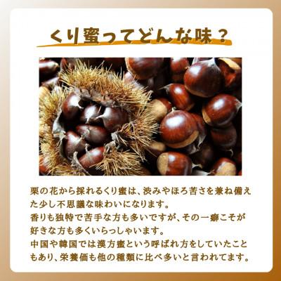 ふるさと納税 大牟田市 みつばちの雫　国産くり蜂蜜　1000g |  | 01