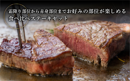 菊の井 飛騨牛ステーキ3種セット（サーロイン 250g、イチボ 200g、ランプ 200g) ステーキ 各1枚 飛騨 牛 ブランド牛 ギフト 贈答 食べ比べ 赤身 霜降り【冷凍】【70-59】