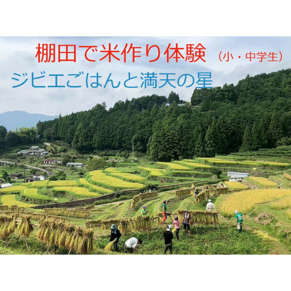 【ふるさと納税】棚田で米作り体験 小・中学生用 （参加チケット1回分） | 体験 チケット 色川の棚田においでよ