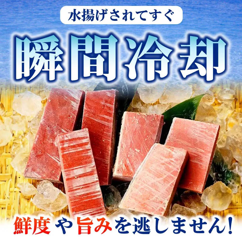 天然本まぐろ赤身(320g) [AOCE001] マグロ