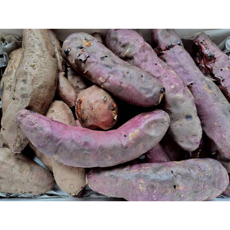 【ふるさと納税】冷凍焼きいも 約1キロ 真空パック 詰め合わせ 品種ランダム 2品種 シルクスイート 安納芋 ベニアズマ 紅はるか ハロウィンスイート 北海道 日高町 　お届け：2026年5月1日まで