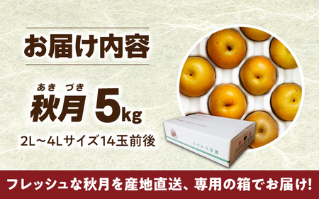 【数量限定】【2024年9月より発送】秋月（梨）約5kg（14玉前後） 長与町/溝上農園  [EBY003] 梨 果物 梨 フルーツ 梨 果物 梨 フルーツ 梨 果物 梨 フルーツ 梨 果物 梨 フル