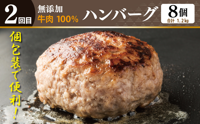 店主セレクト ハンバーグ／しらす 食べ比べ 定期便 全3回【毎月配送コース】 G1245_イメージ3