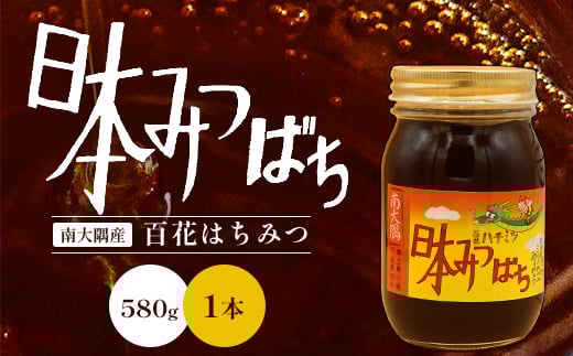 
            【数量限定】日本ミツバチのはちみつ 580g　TU-001|国産 ハチミツ はちみつ 蜂蜜 南大隅町 ニホンミツバチ 百科蜜 天然
          